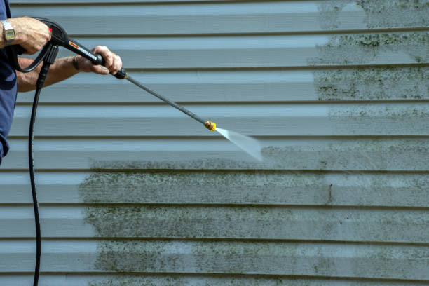 Best Dumpster Area Cleaning  in North Tonawanda, NY